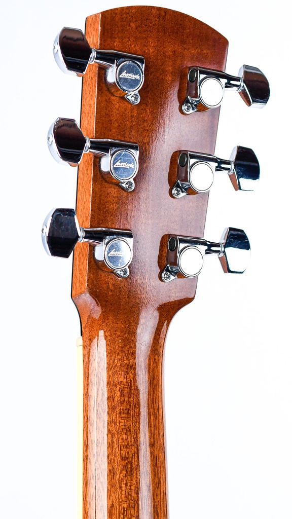 Larrivee D09 30th Anniversary 1997 | The Fellowship of Acoustics